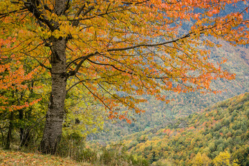 Bausen, valle de Aran, cordillera de los Pirineos, Spain, europe