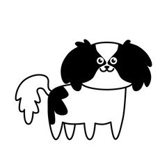 Cute little dog Japanese Chin. Flat design for card or t-shirt. Vector illustration