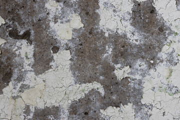 Peeling paint on the wall. Old concrete wall with cracked flaking paint. Weathered rough painted surface with patterns of cracks and peeling. Grunge texture for background and design. High resolution.