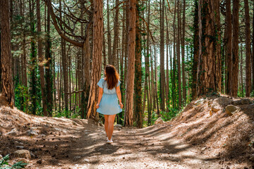 Beautiful young woman with long hair in a dress walking alone in a pine forest