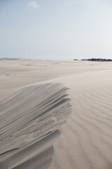 sand dunes on the beach