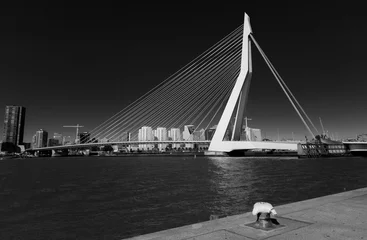 Fototapete Erasmusbrücke Erasmusbrug Rotterdam black and white