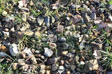 Schotter mit Gras duchwachsen