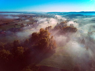 Aerial view of forest at sunny morning with fog
