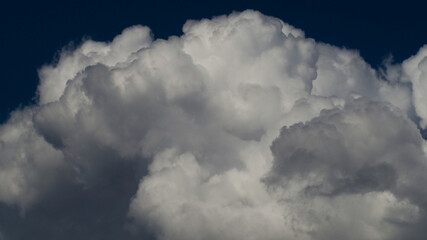 Cumulus mediocris en forme de choux-fleur