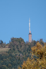 Obraz premium television tower