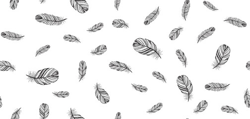 Feather Pattern hand drawn illustration
