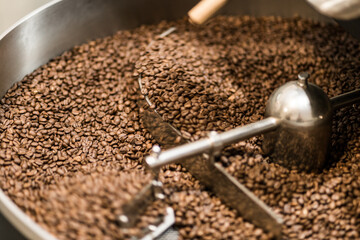 Coffe beans cooling down after roasting