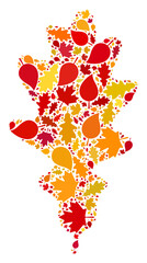 Oak Leaf mosaic icon created for fall season. Vector oak leaf mosaic is made with random fall maple and oak leaves. Mosaic autumn leaves in bright gold, brown and red colors.