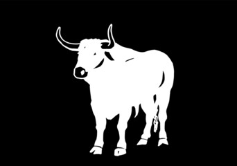 vector ox on black background, graphical engraved illustration