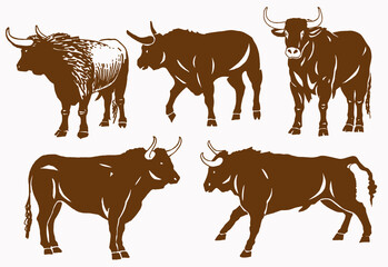 Vector sepia set of oxen , vector illustration