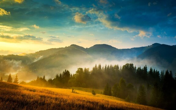 mountains forest fog sky sun