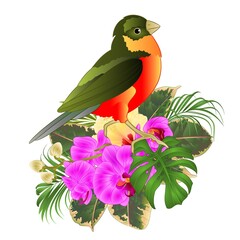 Tropical bird with tropical flowers   floral arrangement, with beautiful orchid and yelow hibiscus,palm,philodendron and ficus vintage vector illustration  editable hand draw