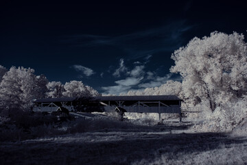 Fototapeta na wymiar infrared photography - ir photo of landscape with tree under sky with clouds - the art of our world and plants in the infrared camera spectrum