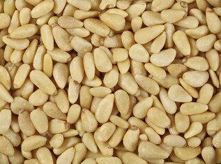 Pine nuts background and texture, top view