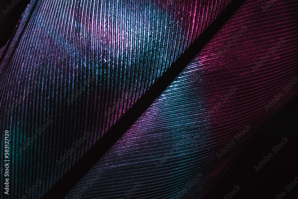 Aufkleber Close up Bird feather neon multi colored light. Beautiful background pattern texture for design. Macro photography view.