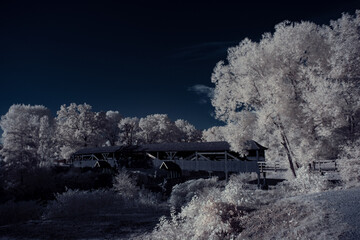 infrared photography - ir photo of landscape with tree under sky with clouds - the art of our world...