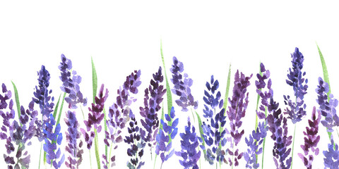 Watercolor border with lavender flowers. Lilac lavender flowers on a white background. Illustration for postcards, banners, birthdays, weddings, gifts, decor.