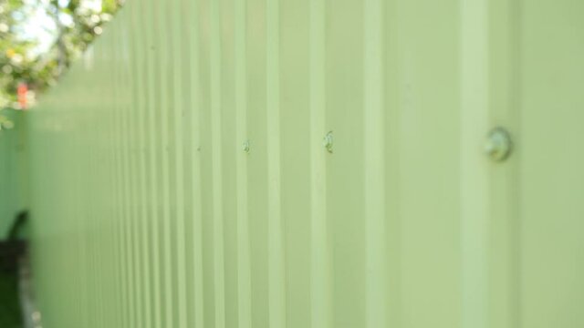 Green metal fence beautiful, bright. Plate in garden yard. Siding. Seamless surface of galvanized steel. Industrial building wall made corrugated iron sheet. Tile, modern material for roof houses.