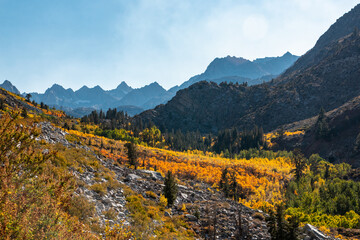 Mountain Fall Colors