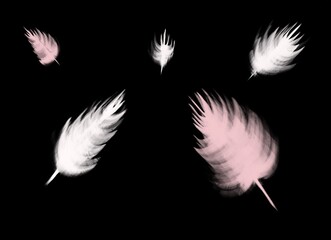Obraz premium Illustrations are white and pink feathers, suitable for postcards