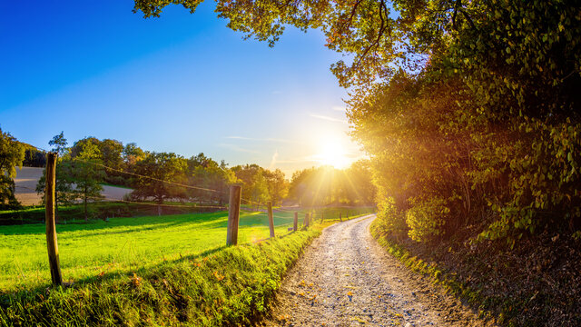 Wonderful autumn landscape with forest, meadows and a path in the light of the setting sun