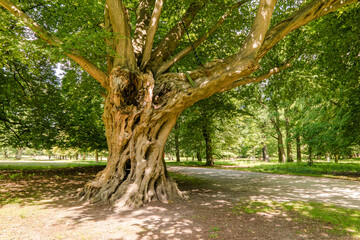 Tiergarten Hannover