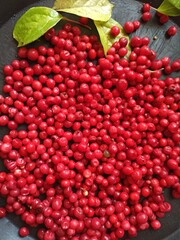 Harvest of schizandra berries on black background