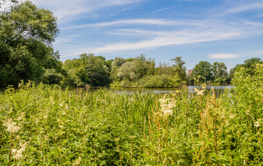 Naklejka premium Hermann- Löns- Park Hannover