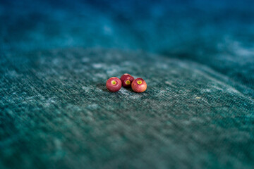 Berry like fruit placed in the center of the frame against a blue and green gradient background with a shallow depth of field.
