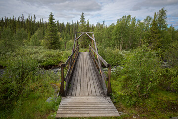 wooden bridge in the forest