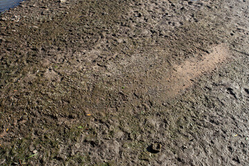 river mud