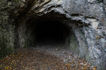 Entrance into an abandoned limestone hauling drift in Prague ("Prokopske udoli" valley). The passage continues into dark, autumn leaves lie on ground.