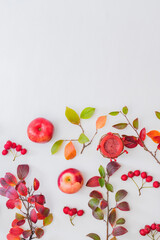 Flat lay pattern with colorful autumn leaves and apples on a white background