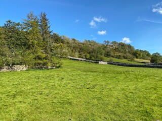 Sloping fields, with old trees, dry stone walls, and hills, on a sunny day in, Litton, Skipton, UK