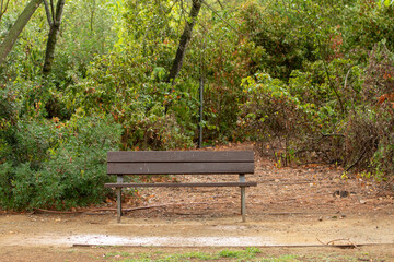 Banco de madera en el parque de la ciudad