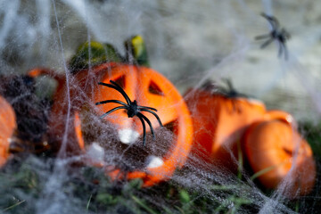 Halloween. The concept of an autumn celebration. Autumn holiday Halloween. Funny pumpkin head. Happy Halloween. Pumpkin for Halloween.