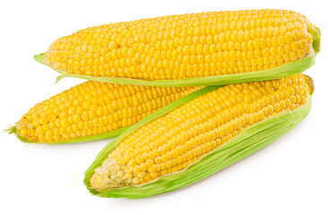 An ear of corn isolated on a white background
