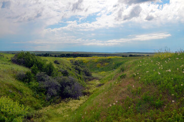 Fototapeta na wymiar Montana - Ravine where last of Custer's men were trapped at Little Bighorn