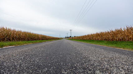 Fototapeta na wymiar Rural Country Road