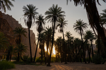 Fototapeta na wymiar Wadi Al Disah valley views in Tabuk region of western Saudi Arabia