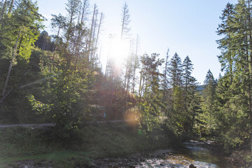 Tatra Mountains, Dolina Kościeliska, sunny morning in Koscieliska Valley, creek and trail in mountains