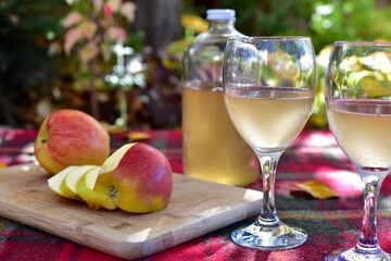 Warm autumn day with cozy outdoor picnic setting in gorgeous fall colour park with tasty gourmet food and drink