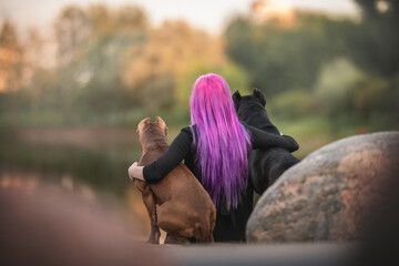 A lady with purple hair hugs an American Pit Bull Terrier and Cane Corso while sitting by the lake with her back to the camera against the background of a bright sunset autumn landscape
