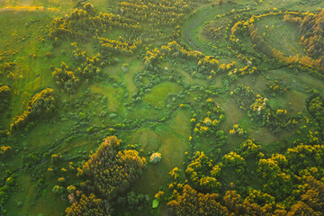 Aerial View Green Forest Woods park And Creek Stream Landscape In Summer Evening. Top View Of Beautiful European Nature From High Attitude. Drone View. Bird's Eye View