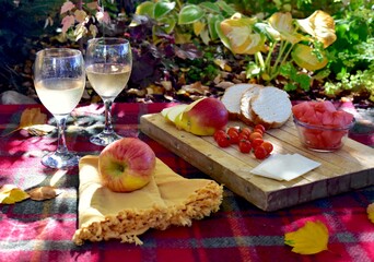 Warm autumn day with cozy outdoor picnic setting in gorgeous fall colour park with tasty gourmet food and drink
