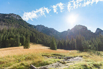 Dolina Kościeliska, Koscieliska Valley - tatra mountains landscape in sunny morning, bright colors mountains view © Studio Afterglow