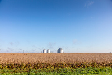 Midwest Grain Silo and field © DesignFlip