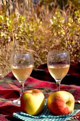 Warm autumn day with cozy outdoor picnic setting in gorgeous fall colour park with tasty gourmet food and drink