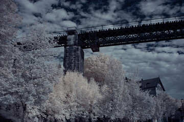 infrared photography - ir photo of landscape with tree under sky with clouds - the art of our world and plants in the infrared camera spectrum